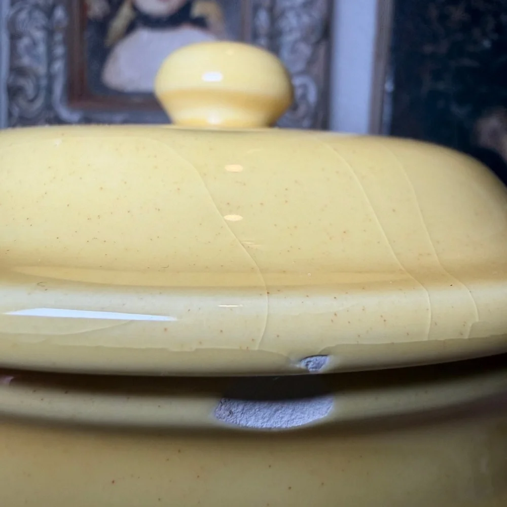 Sur La Table “Zucchero” Yellow Ceramic Sugar Canister – Made in Italy –‎ Rustic